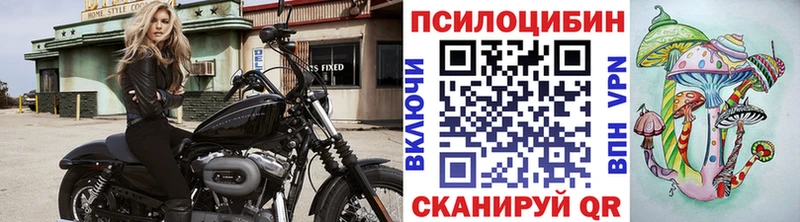 Псилоцибиновые грибы ЛСД  Севастополь 